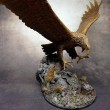 Yet another eagle