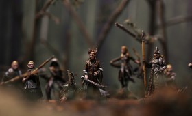 Wood-Elves of Mirkwood
